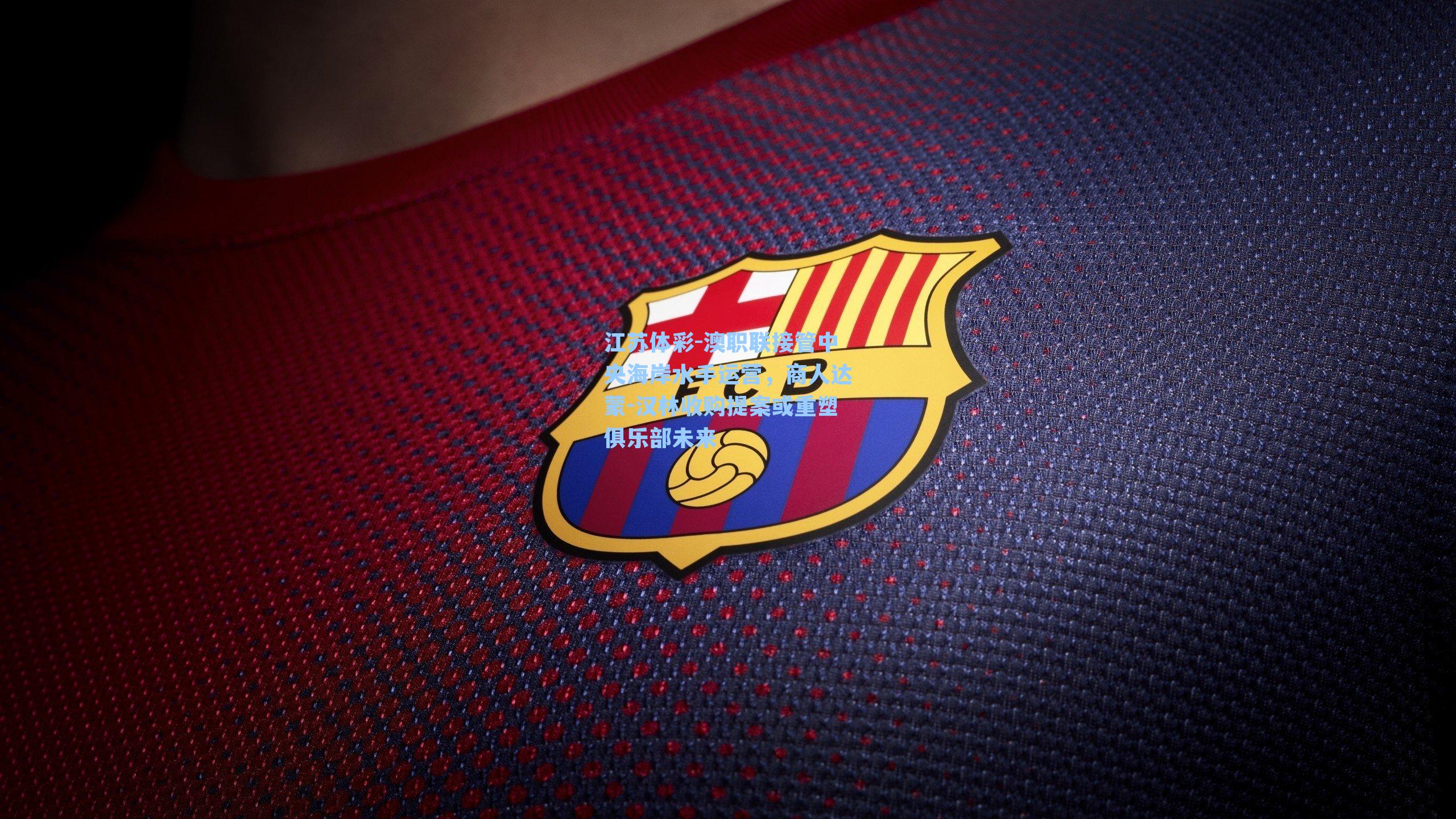 江苏体彩-澳职联接管中央海岸水手运营，商人达蒙-汉林收购提案或重塑俱乐部未来